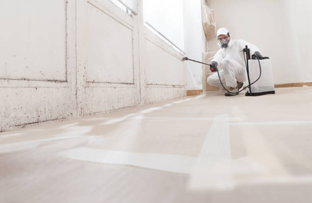 24/7 Emergency Attic Mold Removal experts in Hudson, IL